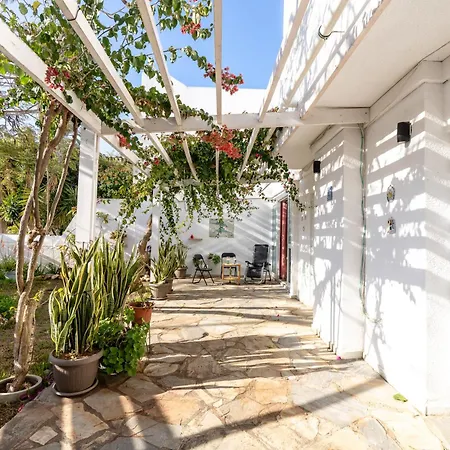 Semesterbostad Blossom Dps18